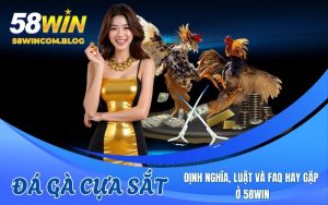 Đá Gà Cựa Sắt Tại 58Win - Trực Tiếp Gay Cấn, Chơi Dễ